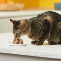 Misturar camadas saborosas com comida de gato com comida de gato frango